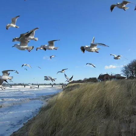 In Apartment Zingst